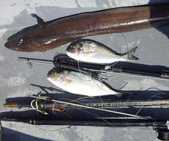 Dos acusados por pesca furtiva en la zona de Maro